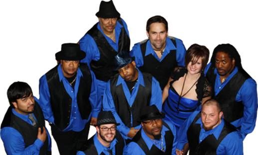 Professor D : Wedding Reception Band
